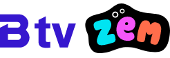 zem logo