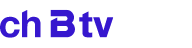 btv village logo